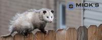 Mick's Possum Removal Sydney image 8